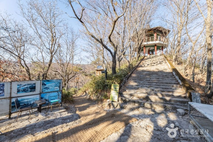 내장산 굴거리나무군락 여행 추천 - 메고지고