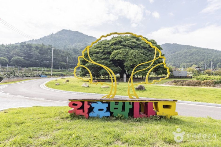 남해 창선도 왕후박나무 여행 추천 - 메고지고