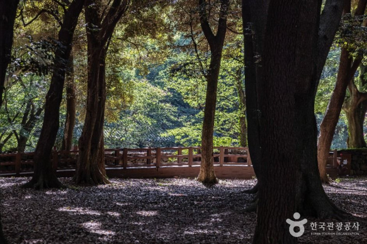 제주 삼성혈 여행 추천 - 메고지고