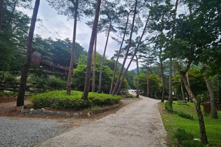 국립검마산자연휴양림 여행 추천 - 메고지고