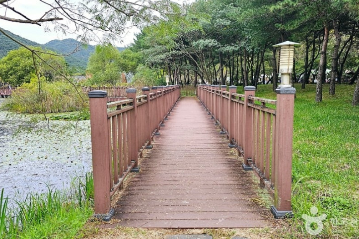 선운산 생태숲 여행 추천 - 메고지고
