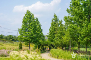 이강서원 여행 추천 - 메고지고