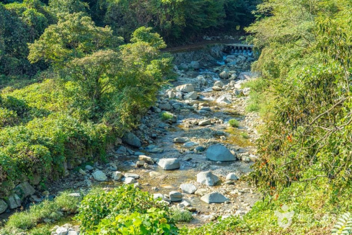 고운동계곡 여행 추천 - 메고지고