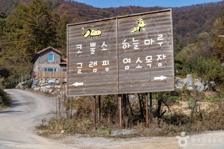 하늘마루염소목장 여행 추천 - 메고지고