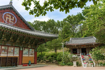 긴고랑공원 여행 추천 - 메고지고