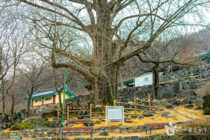 연수사(거창) 여행 추천 - 메고지고