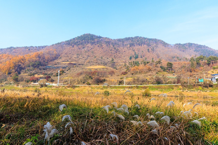 청천수변공원 여행 추천 - 메고지고