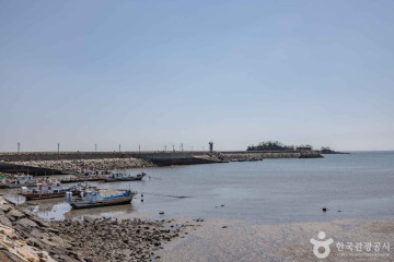 몽산포항 여행 추천 - 메고지고