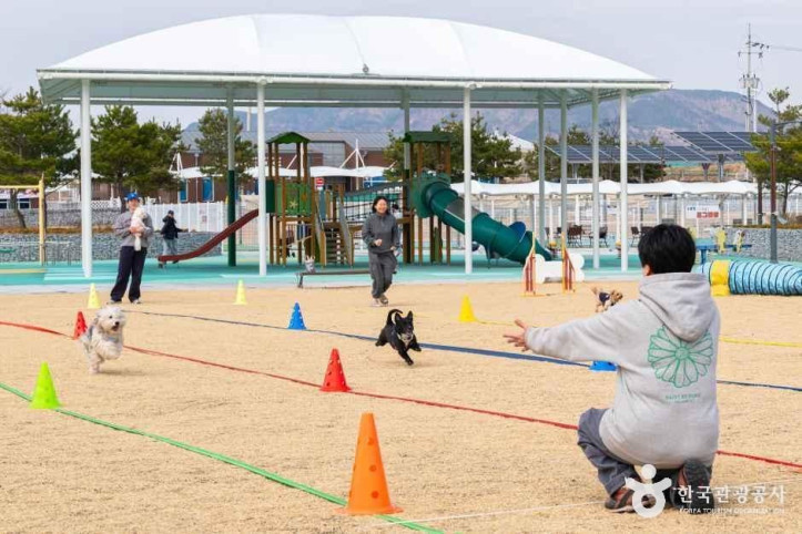 의성 펫월드 여행 추천 - 메고지고