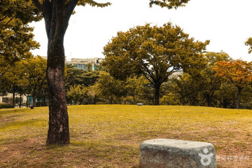 국립신암선열공원 여행 추천 - 메고지고