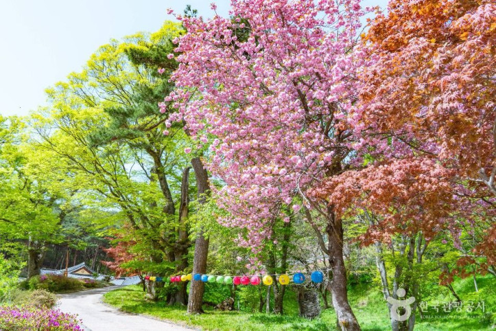 영탑사(당진) 여행 추천 - 메고지고