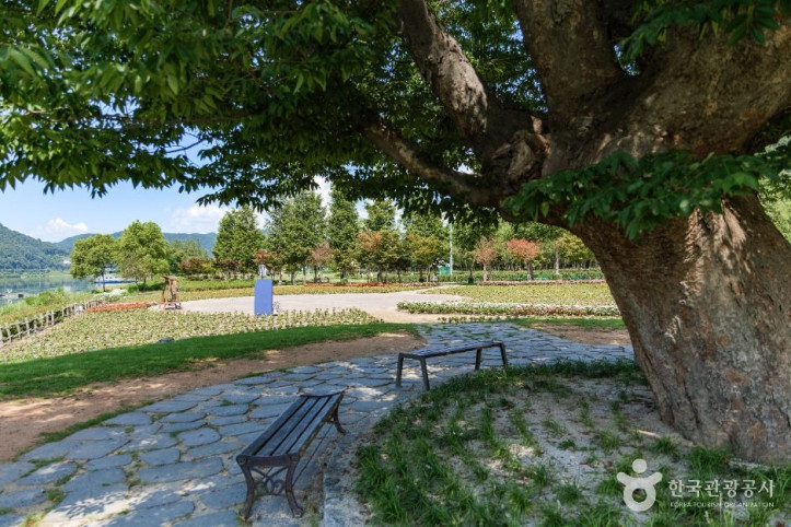거례리사랑나무 여행 추천 - 메고지고