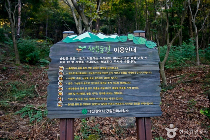 보문산 행복 숲 둘레길 여행 추천 - 메고지고