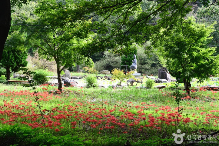 흥국사(여수) 여행 추천 - 메고지고