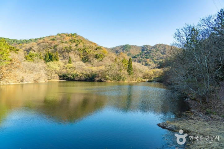 세량지 여행 추천 - 메고지고