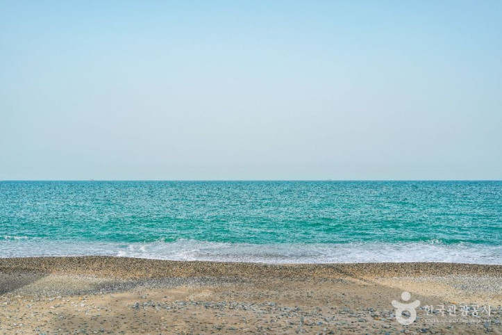 관성솔밭해변 여행 추천 - 메고지고