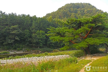 진동계곡 여행 추천 - 메고지고