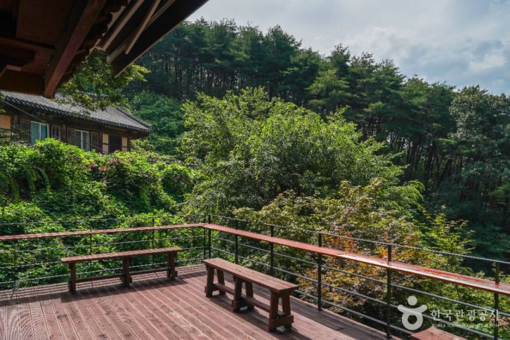 죽림사(영천) 여행 추천 - 메고지고