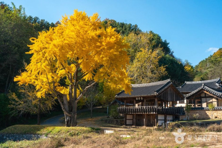 예안향교 여행 추천 - 메고지고