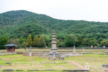 화장골 계곡 여행 추천 - 메고지고