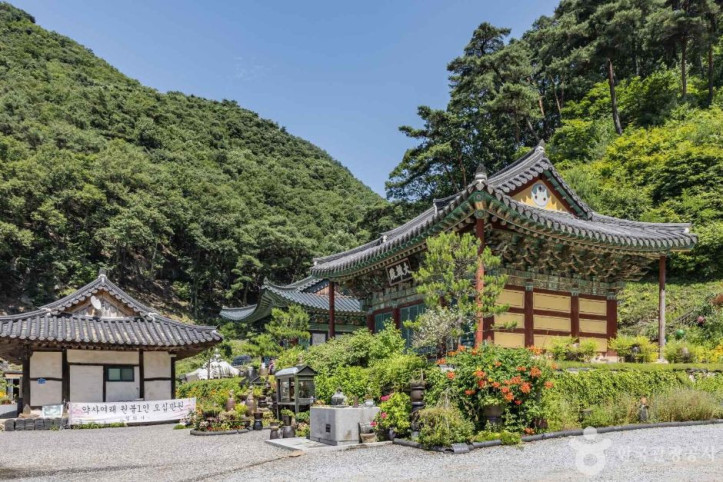 월리사(청주) 여행 추천 - 메고지고