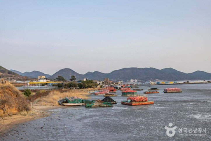 와온해변 여행 추천 - 메고지고