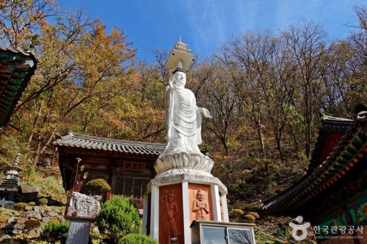 정심사(충주) 여행 추천 - 메고지고