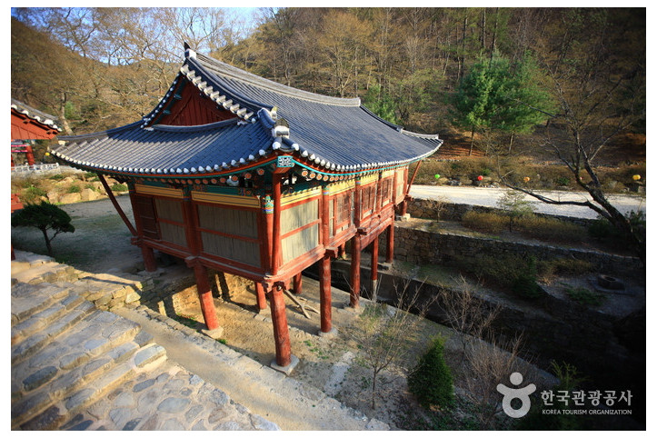 고운사(의성) 여행 추천 - 메고지고
