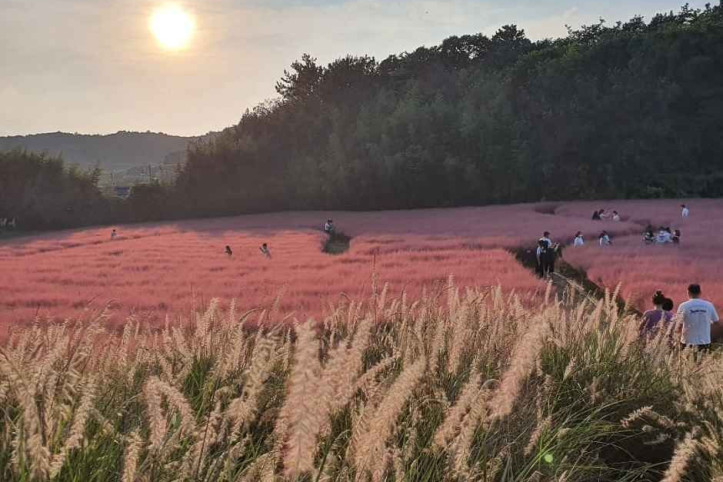 고창 청농원 여행 추천 - 메고지고