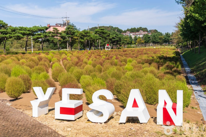 덕산온천지구 여행 추천 - 메고지고