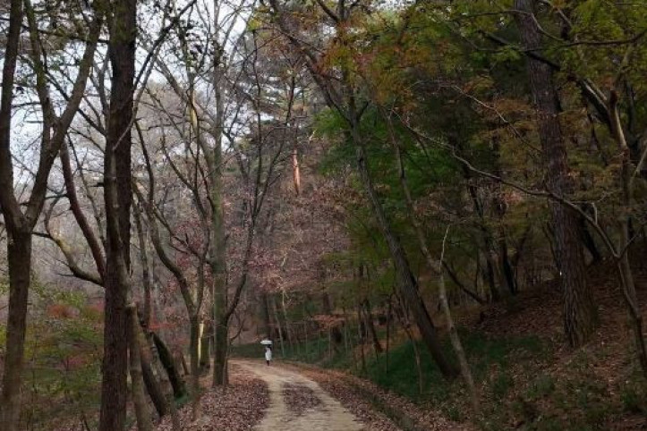 부소산 여행 추천 - 메고지고
