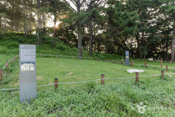 울미연꽃마을 여행 추천 - 메고지고