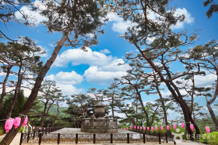 양주 회암사지 여행 추천 - 메고지고