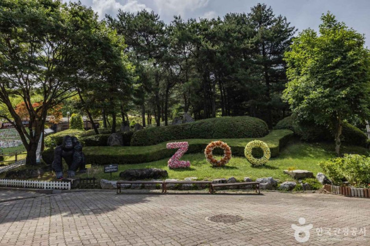 청주동물원 여행 추천 - 메고지고