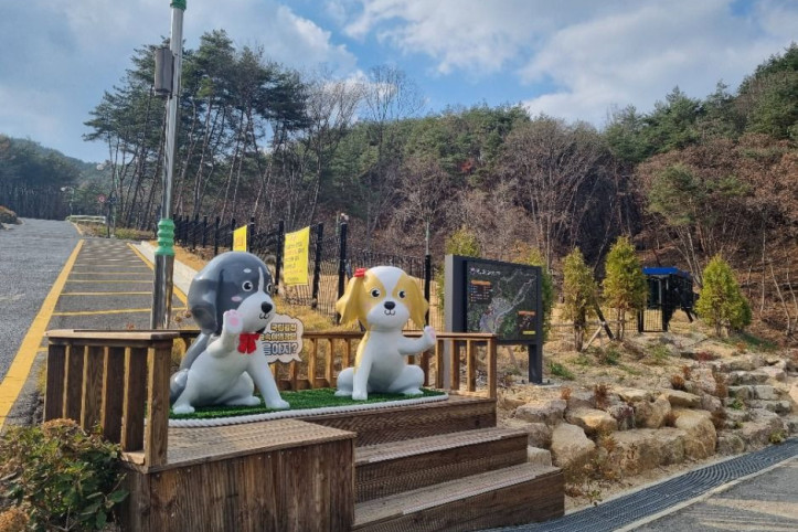 국립김천숲속야영장 여행 추천 - 메고지고