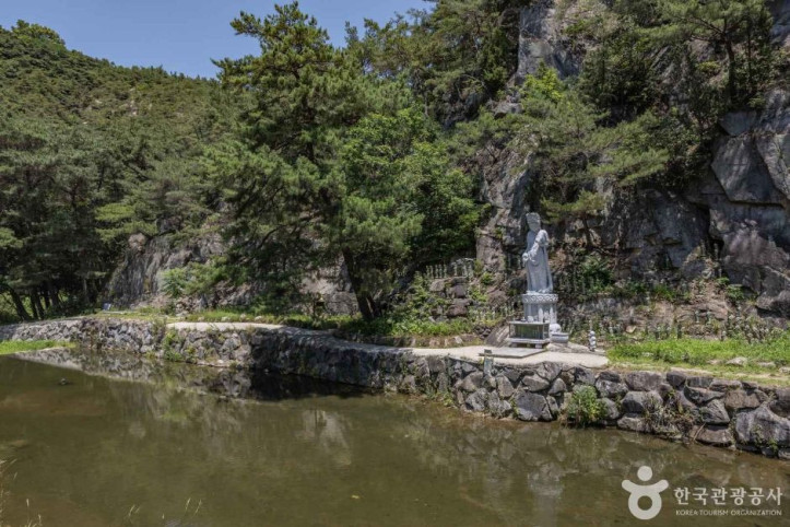동화사(충북) 여행 추천 - 메고지고