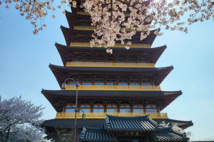 황룡원 여행 추천 - 메고지고