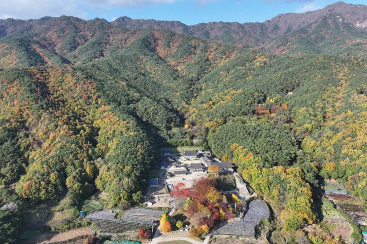 부인사(대구) 여행 추천 - 메고지고