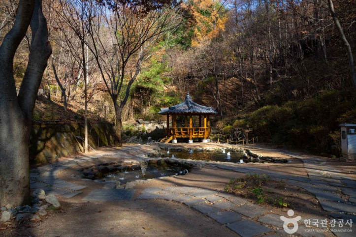 만인산 자연휴양림 여행 추천 - 메고지고
