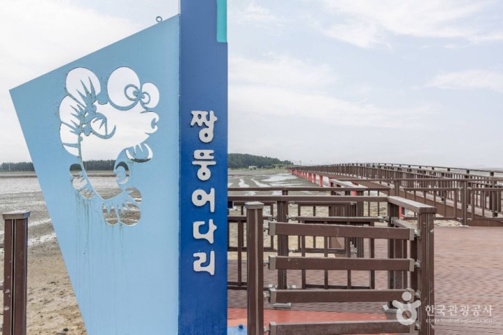 짱뚱어다리 여행 추천 - 메고지고