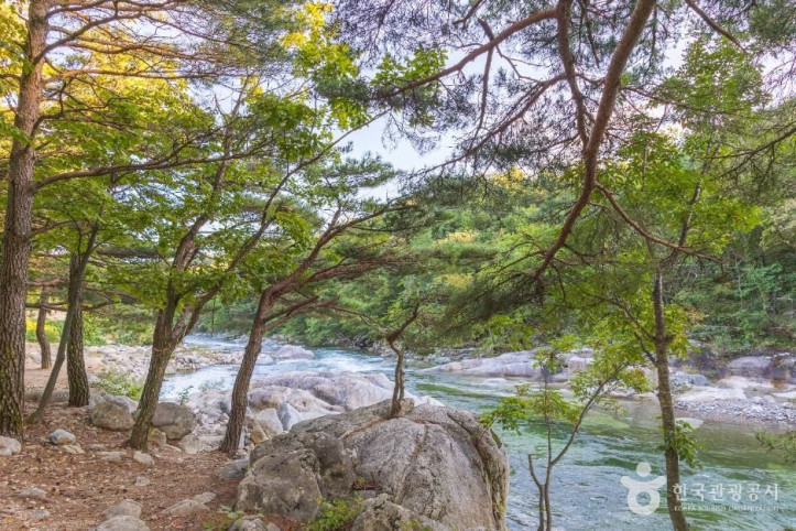 도원리계곡 여행 추천 - 메고지고