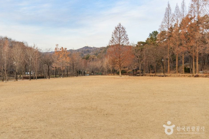 도음산 산림문화수련장 여행 추천 - 메고지고