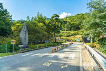 괴목마을 여행 추천 - 메고지고