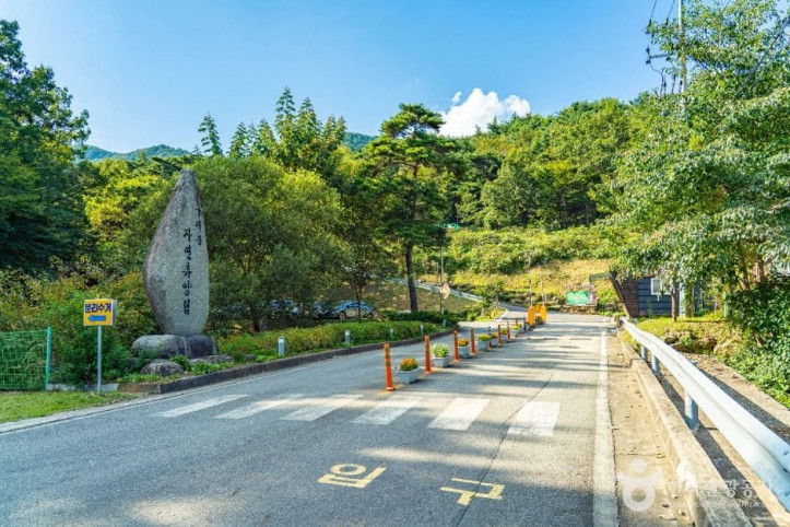 구재봉자연휴양림 여행 추천 - 메고지고