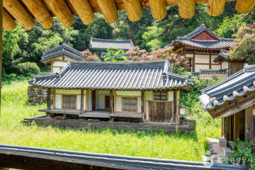 자비선사 여행 추천 - 메고지고