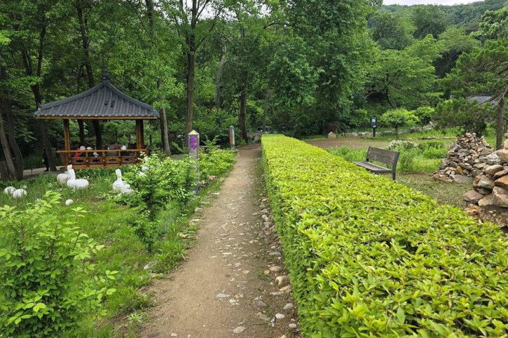 과천야생화자연학습장 여행 추천 - 메고지고