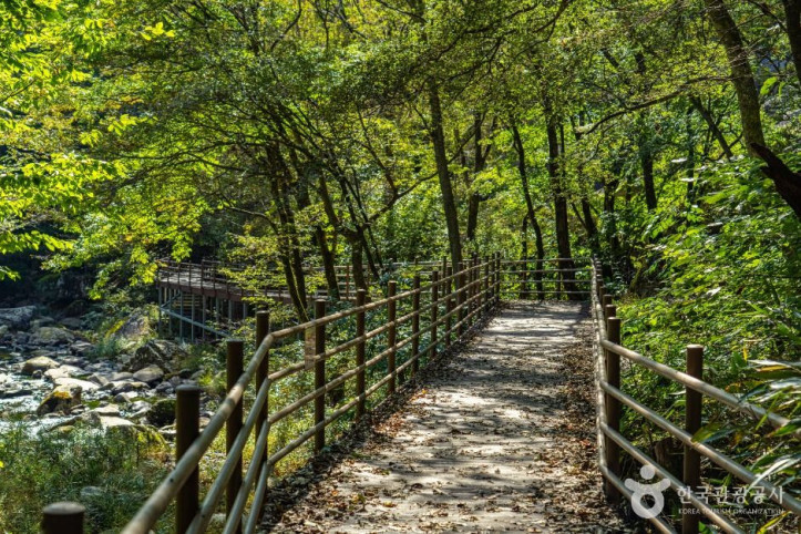 덕산계곡(덕산용소) 여행 추천 - 메고지고
