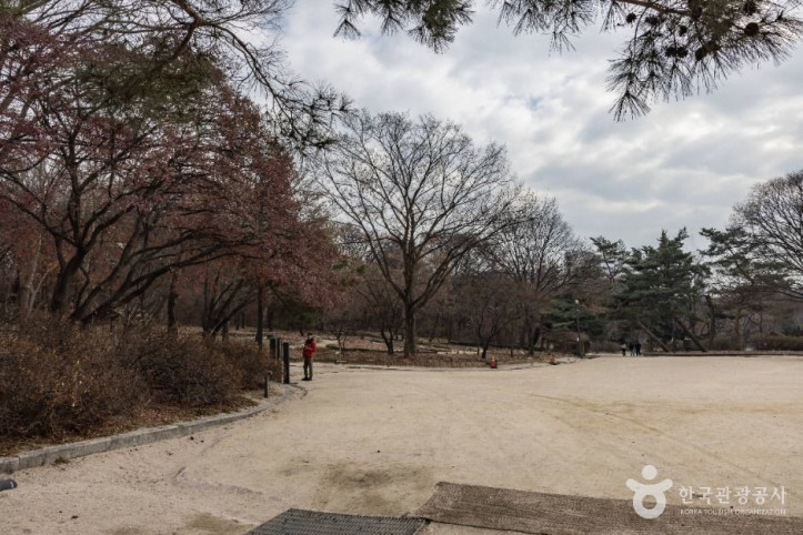 창경궁 대온실 여행 추천 - 메고지고