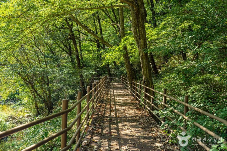 덕산계곡(덕산용소) 여행 추천 - 메고지고