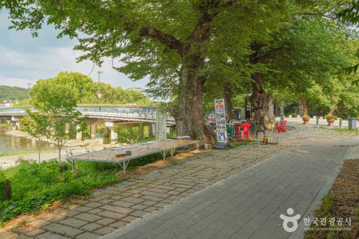 담양국수거리 여행 추천 - 메고지고